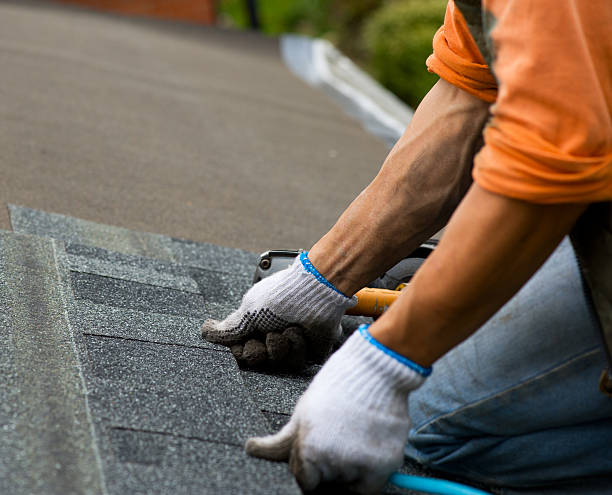 Best Residential Roofing Contractor  in Pitola, CA