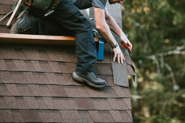 Best Roof Maintenance Services  in Pitola, CA